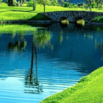 خواب میں نہر دیکھنے کی سچی تعبیر خواب میں نہر دیکھنے کی سچی تعبیر