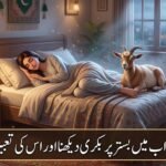 Gemini_Generated_Image_qzalg2qzalg2qzal